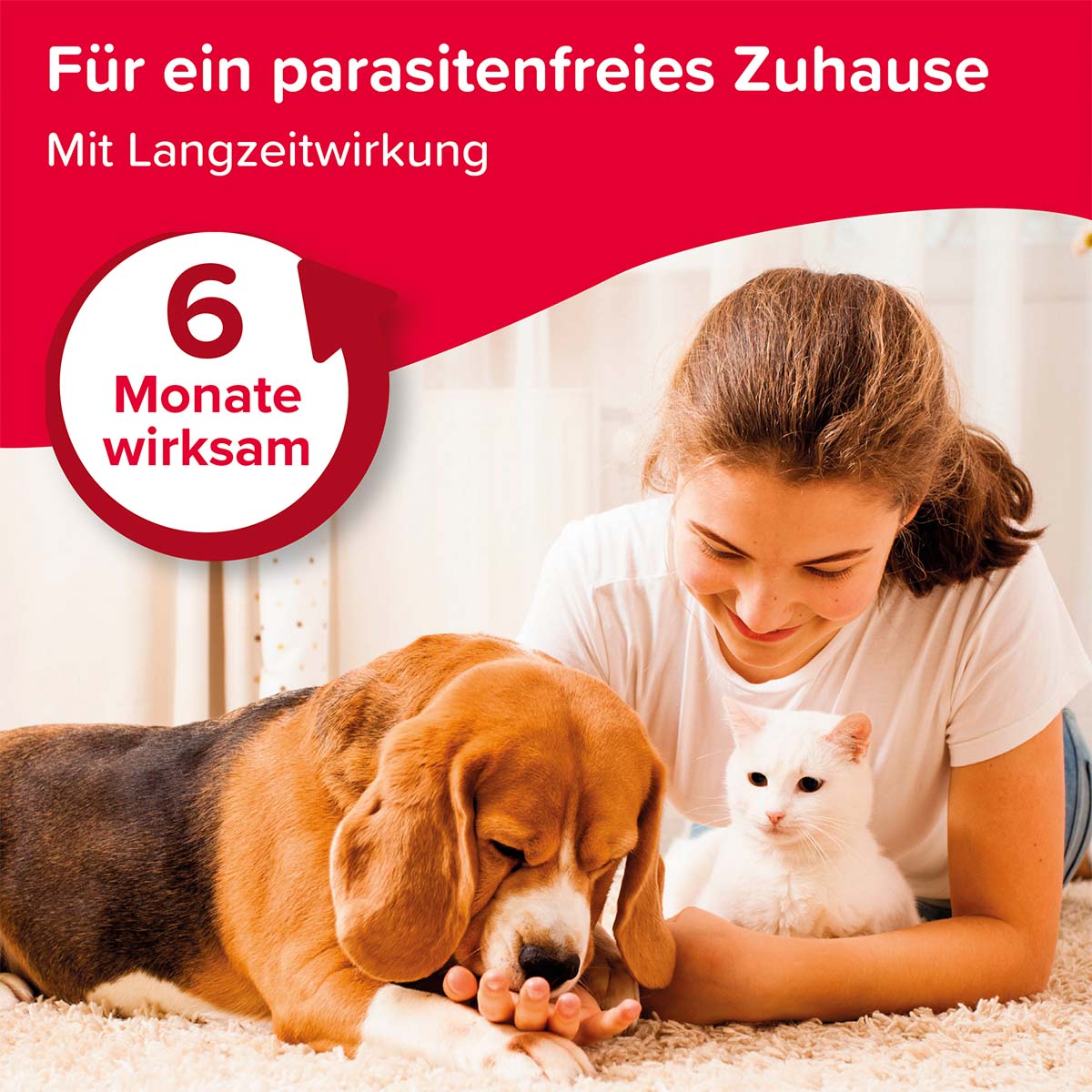 beaphar Protecto Insekten Vernebler 200ml kaufen