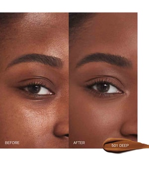 Shiseido Synchro Skin Self-Refreshing Concealer-5.8 ml