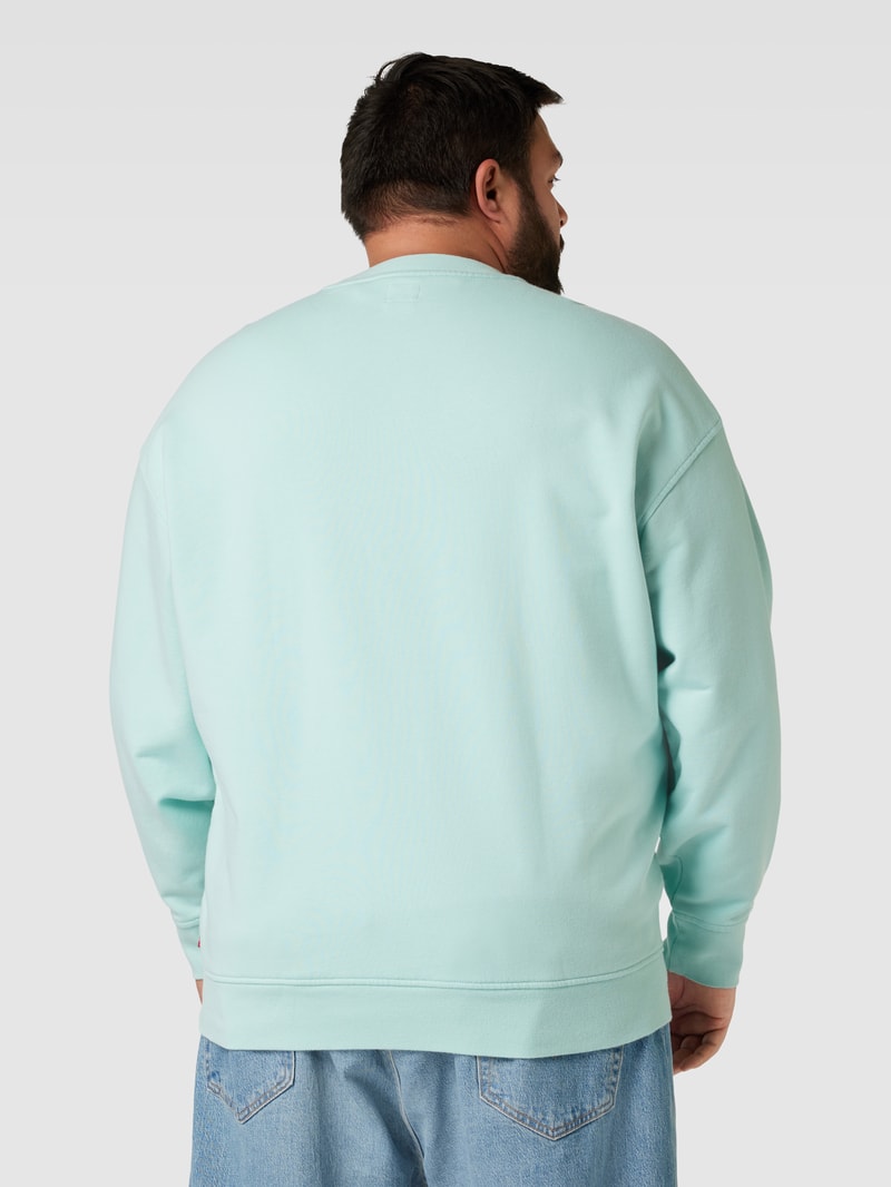 PLUS SIZE Sweatshirt mit Label-Print in mint