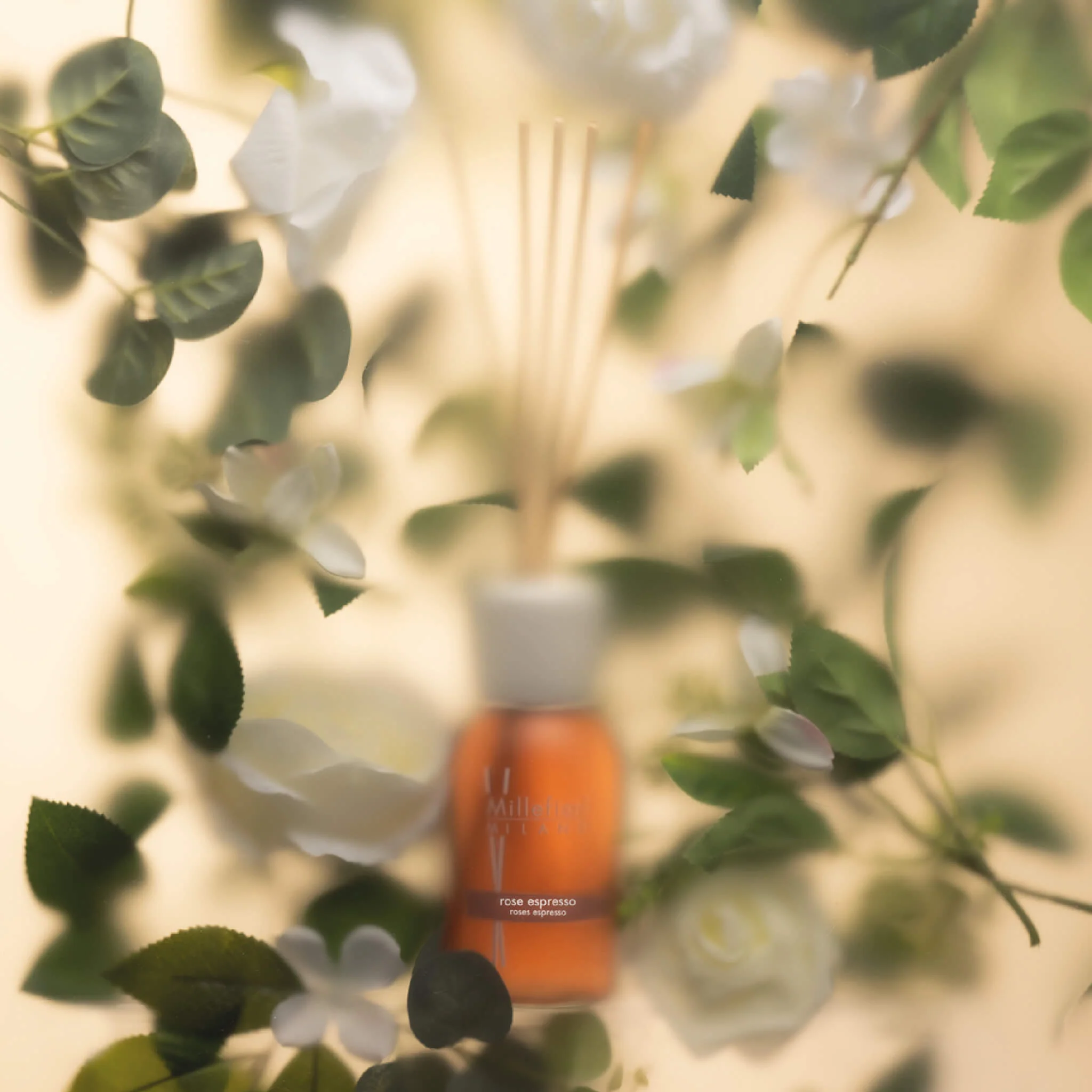 Millefiori Milano Rose Espresso - Difusor de fragancias