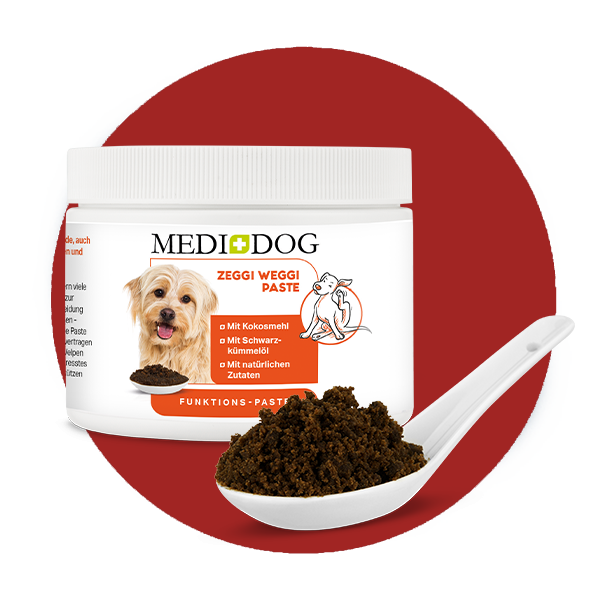 MediDog Ergänzungsfutter & Aufzucht MediDog Zeggi Weggi Paste