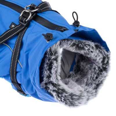 TIAKI Hundemantel mit Geschirr Arkon, blau
