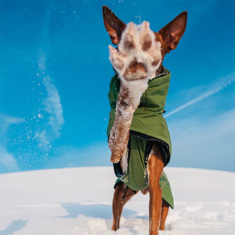 Rukka Warmup Hundemantel, oliv zu TOP-Preisen