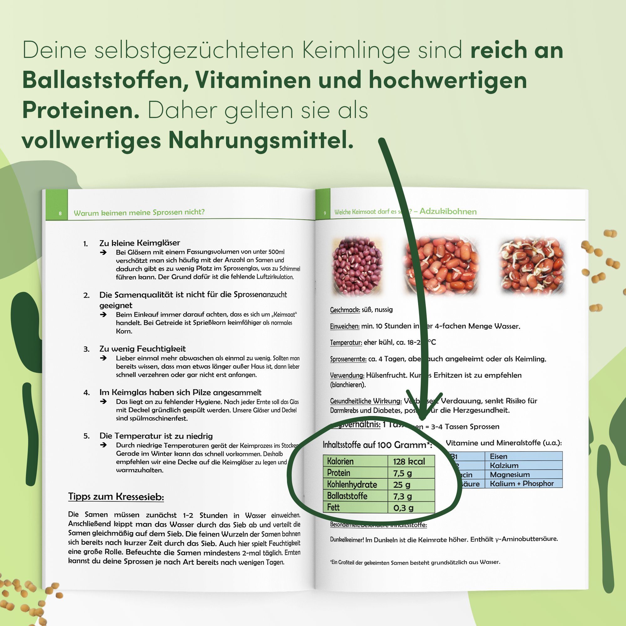 Green SEEDS Anzuchttopf Sprossenglas Keimglas 2er Set 1000ml + KRESSESIEB mit hochwertigem Edelstahl-Gitterdeckel, Ständer, Keramikschale + GRATIS Sprossen-ABC [Druckversion]…