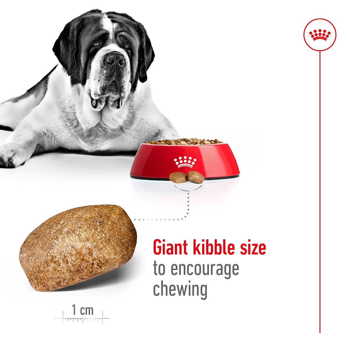 ROYAL CANIN GIANT Adult Trockenfutter für sehr große Hunde