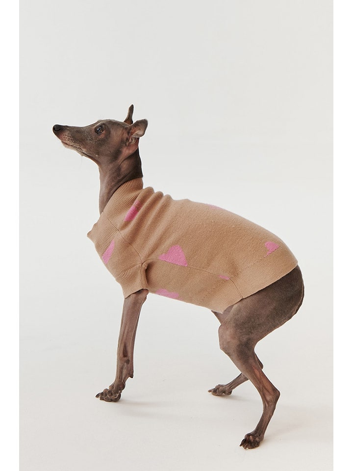 TATUUM Hunde-Sweatshirt in Hellbraun günstig kaufen XS