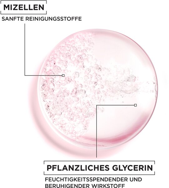 Garnier Gesichtswasser