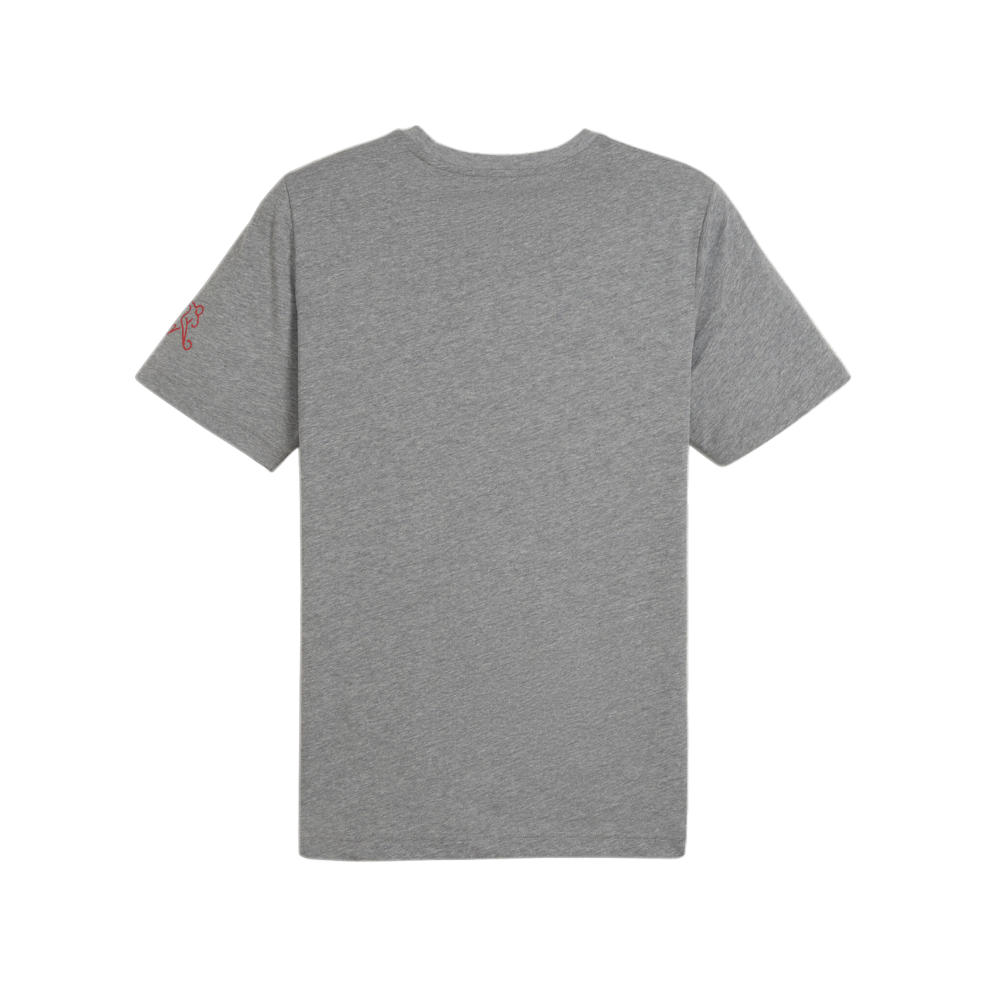 PUMA Schweiz Ftbl Icons T-Shirt EM 2024 Grau F16