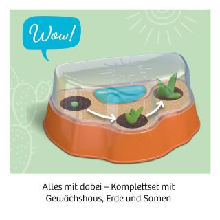 Kakteen-Wüste (DE)