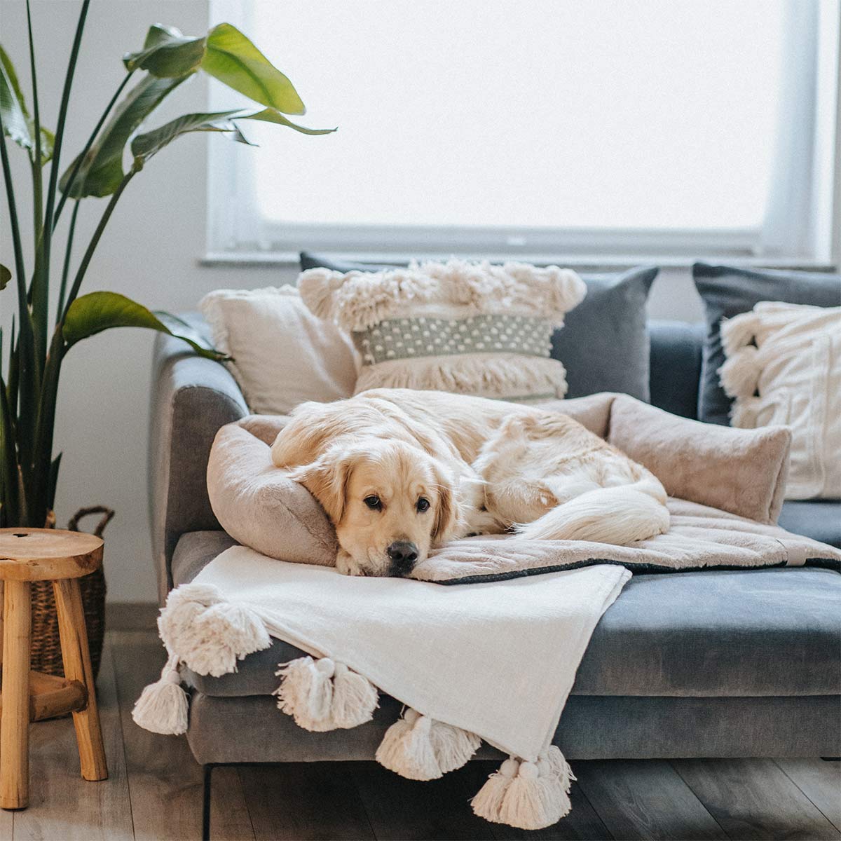 District 70 Sofa Bett NUZZLE taupe günstig kaufen bei ZooRoyal