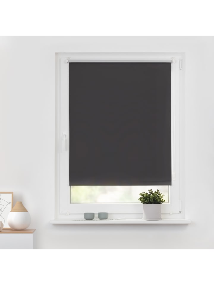 Lichtblick Seitenzugrollo in Grau günstig kaufen