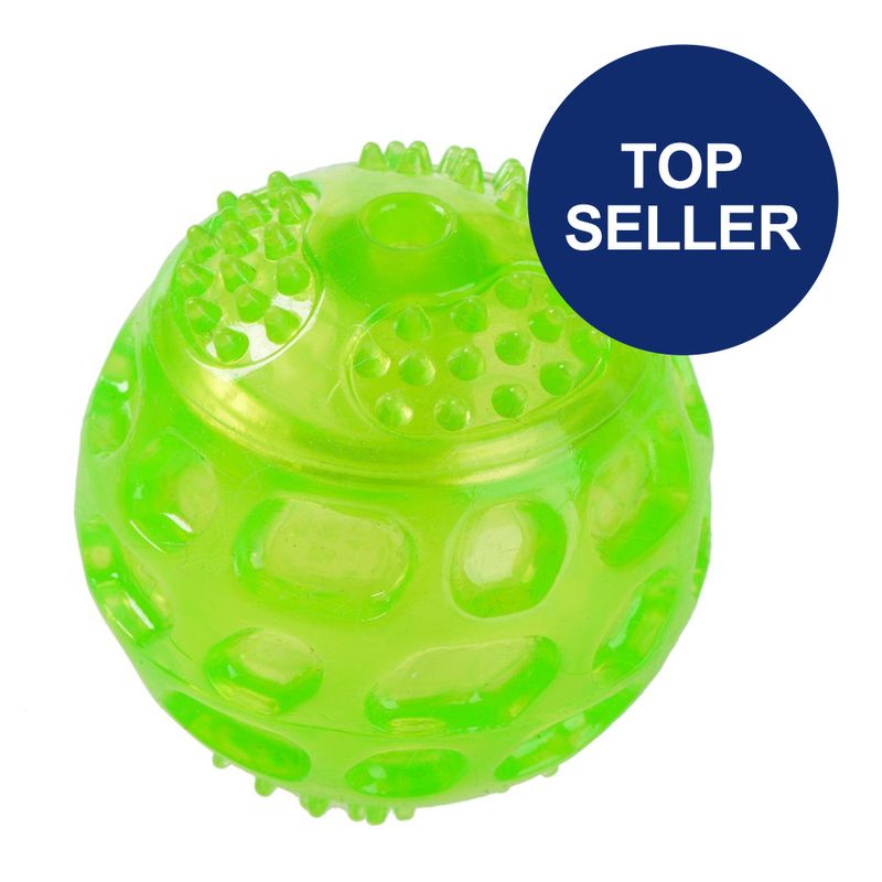 Hundespielzeug Squeaky Ball zu TOP-Preisen