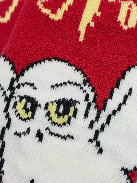 Harry Potter ABS Socken