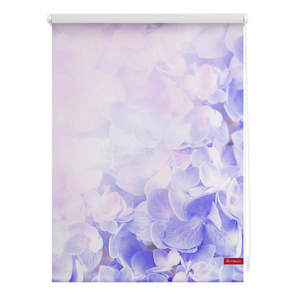 Lichtblick Rollo Klemmfix, ohne Bohren, blickdicht, Hortensie - Lila, 80 x 150 cm (B x L)
