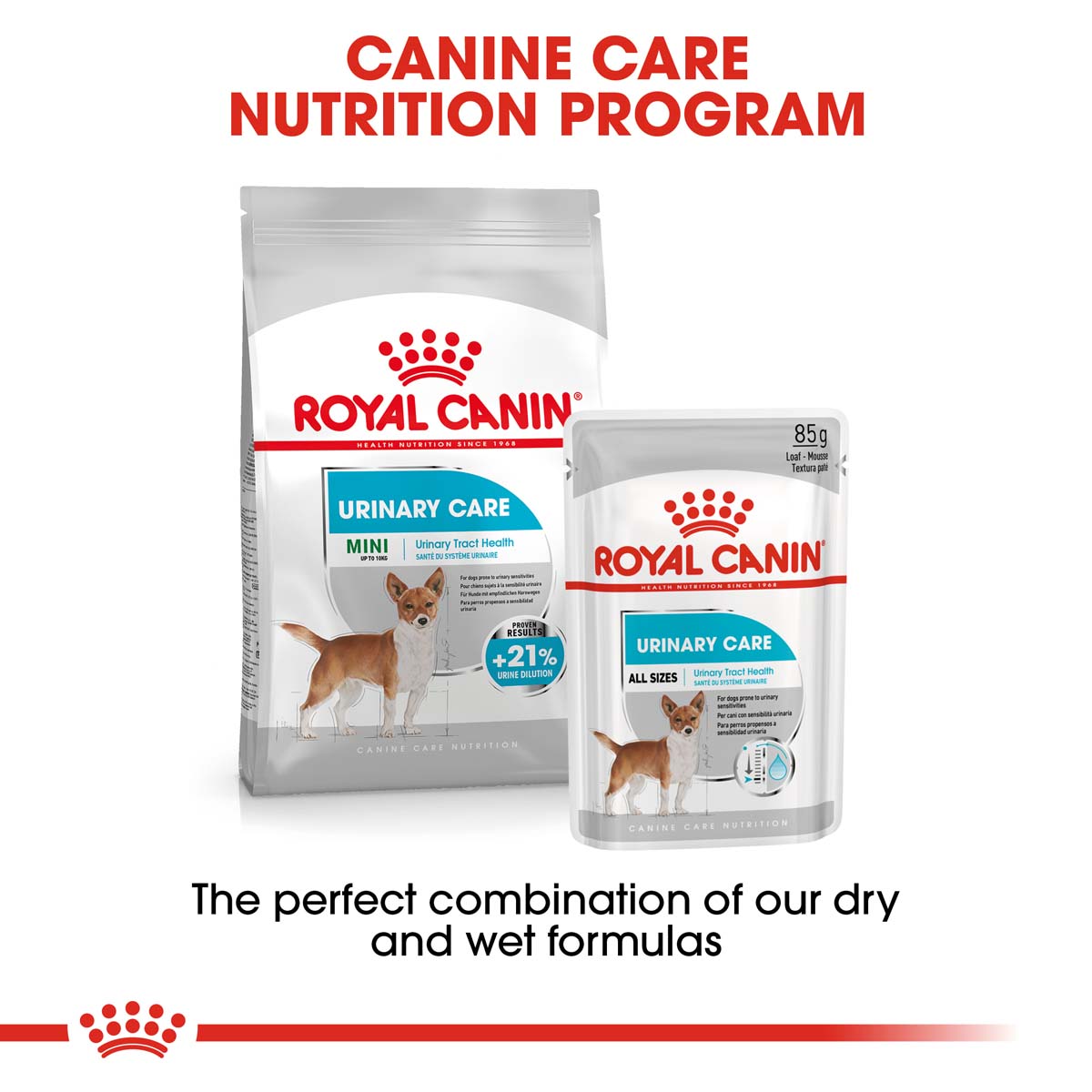 ROYAL CANIN Urinary Care MINI Trockenfutter für kleine Hunde mit empfindlichen Harnwegen