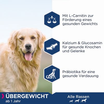 Eukanuba Daily Care Overweight Adult Dog