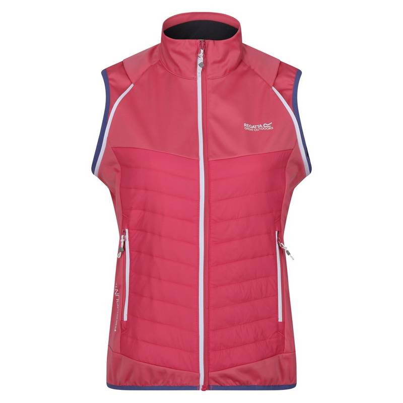 Regatta Steren Outdoorjacke Damen