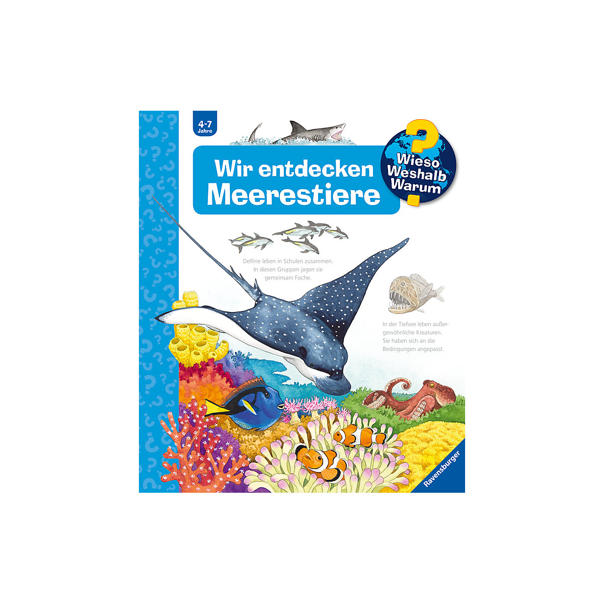 WWW Wir entdecken Meerestiere