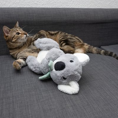 Katzenspielzeug Kiki