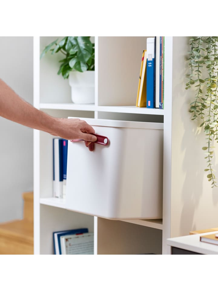 Rotho Archivbox Dokumentenorganizer MY PAPER Plus günstig kaufen onesize