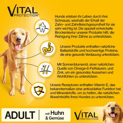 Pedigree Adult mit Huhn und Gemüse