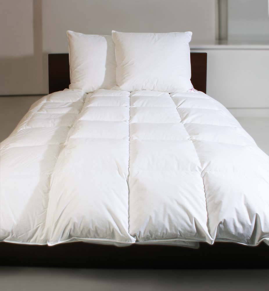 CENTA-STARDaunen-Kassettenbett 1260g