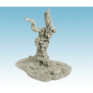 Little Tree
