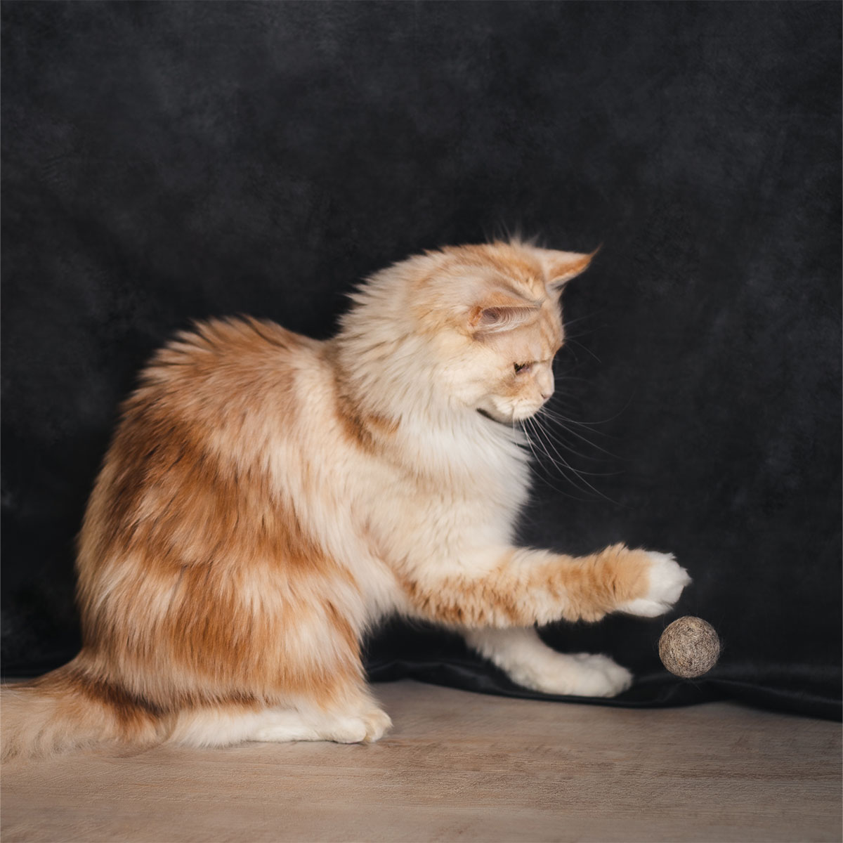 CATLABS Katzenspielzeug Flinke Filzbälle 2er-Pack
