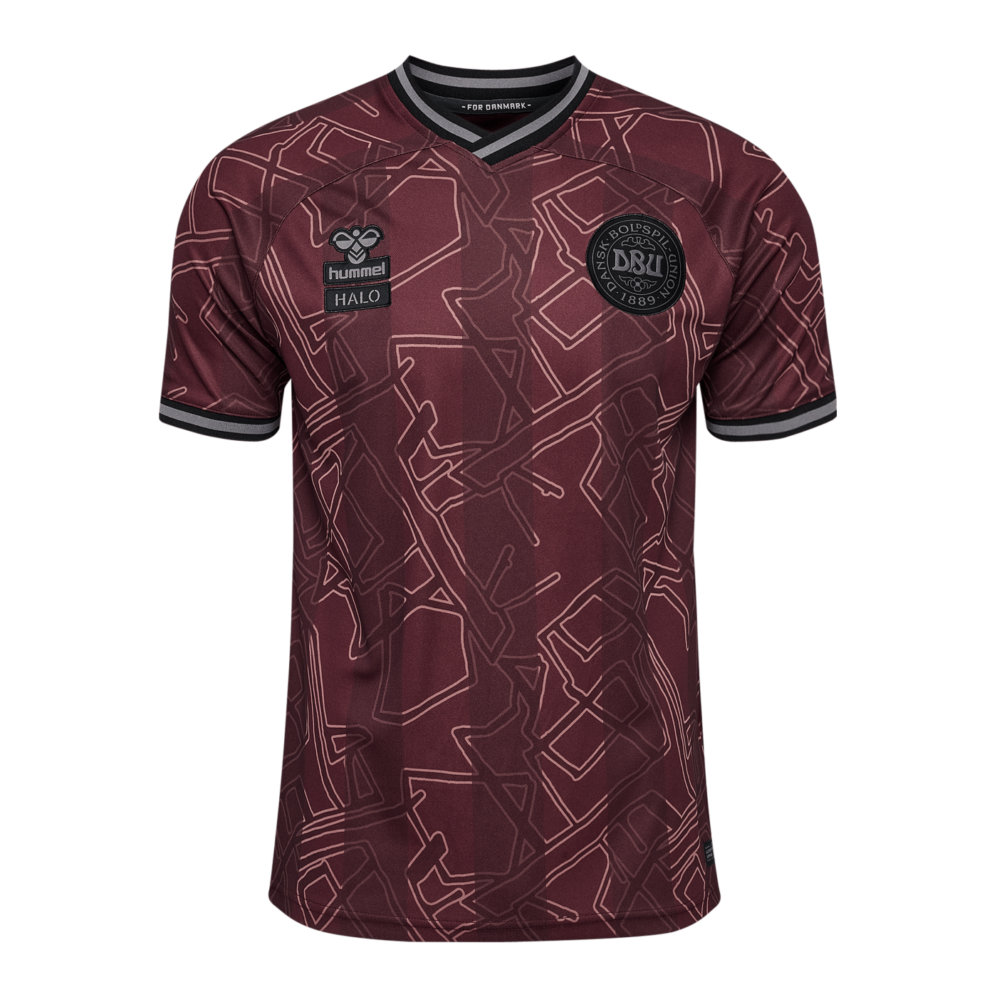 Hummel Dänemark x Halo Trikot 2024 Blau F8186