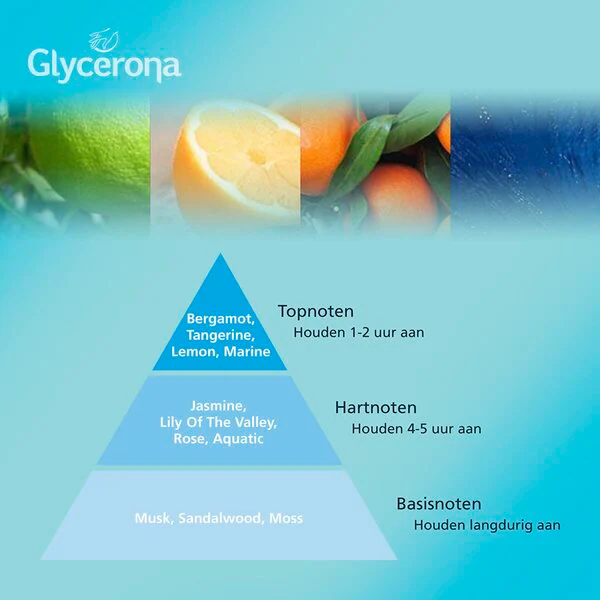 Glycerona Hygienic Hand Gel 100ml