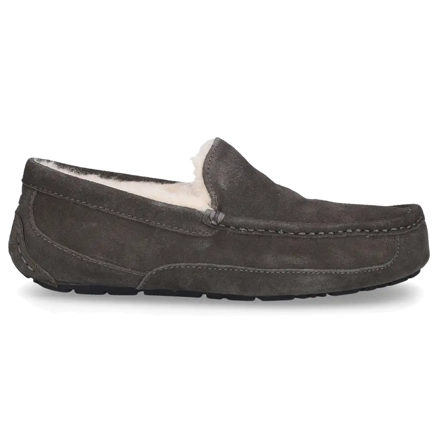 UGG - Hausschuhe ASCOT Gefüttert - grau