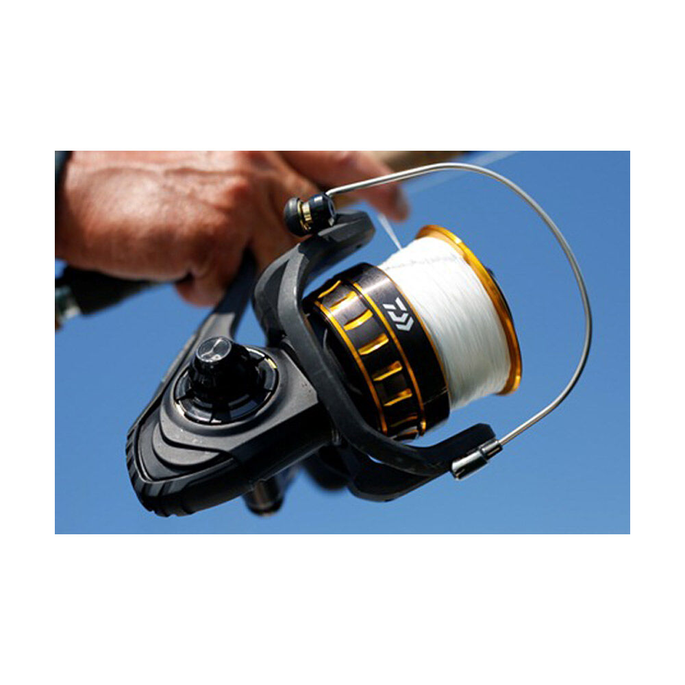 Mulinello Daiwa BG Black Gold 2500