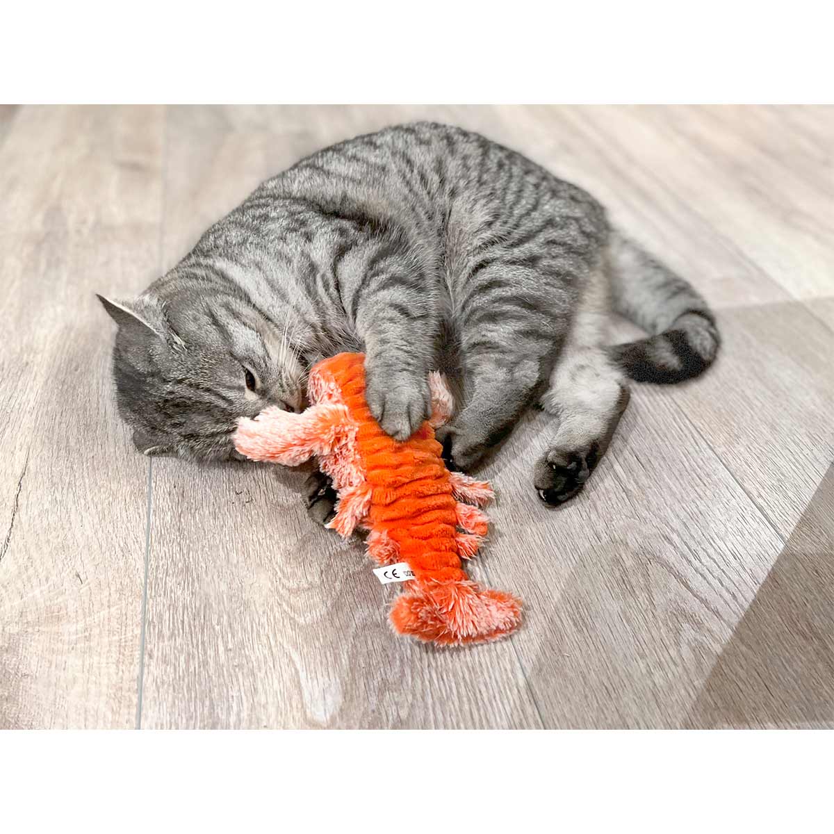 Aumüller Katzenspielkissen Zappel-Hummer orange
