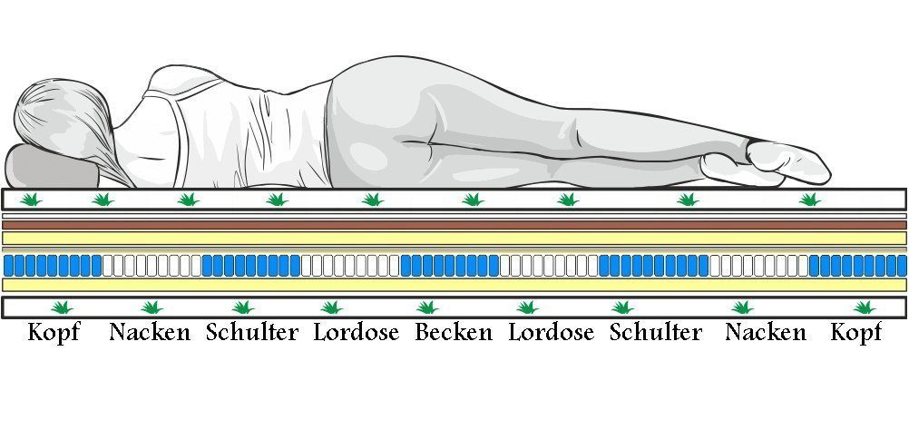 Taschenfederkernmatratze Vigo Matratze, Tanato, 21 cm hoch, H2 und H3 in Einer Matratze, aloe vera waschbär bezug, 9 Zonen Taschenfederkern Matratze, Mit Kokoseinlage