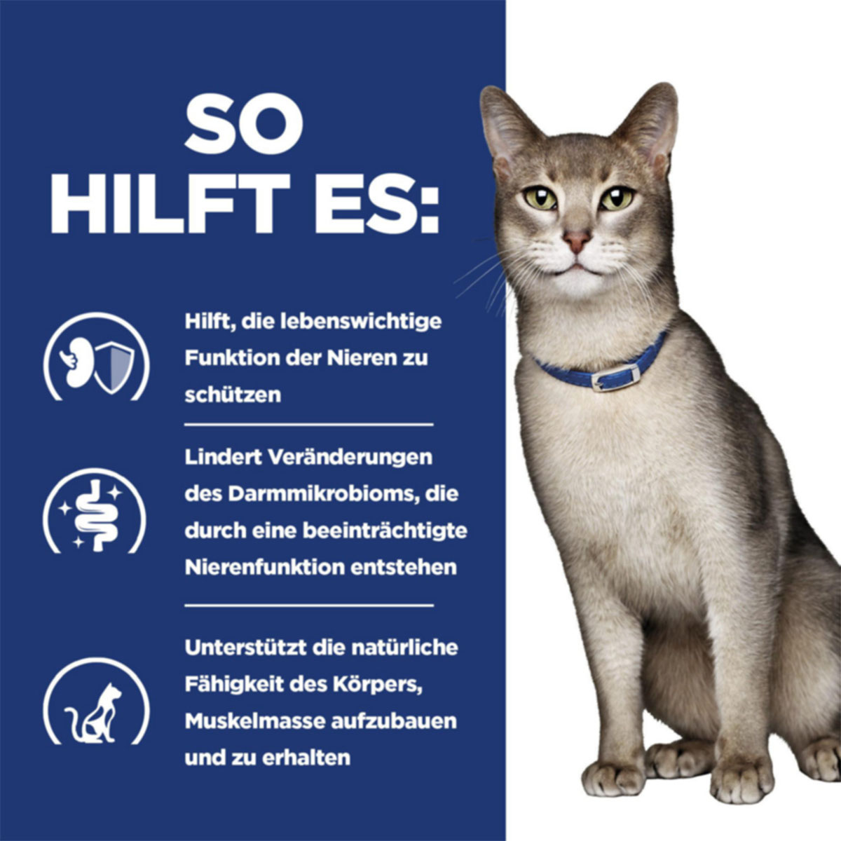 Hill's Prescription Diet k/d mit Huhn günstig kaufen