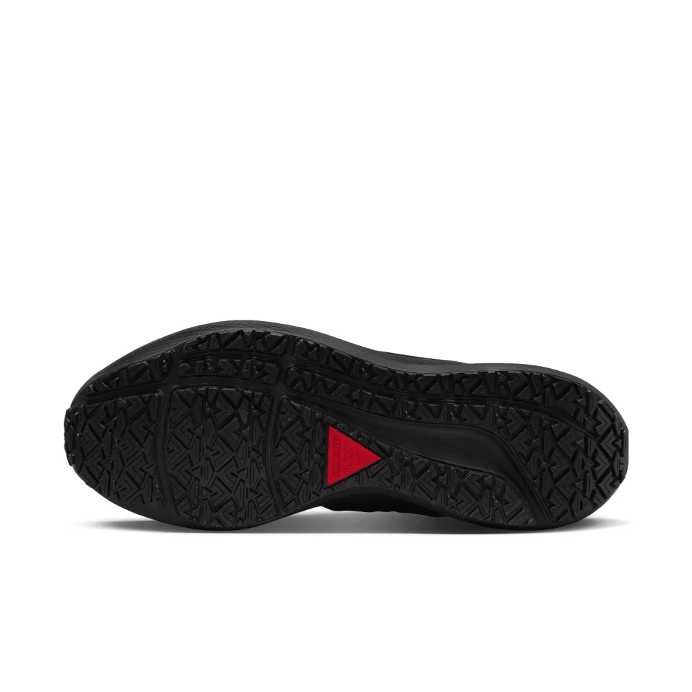Nike Air Zoom Pegasus 39 Shield DO7626-001 / schwarz