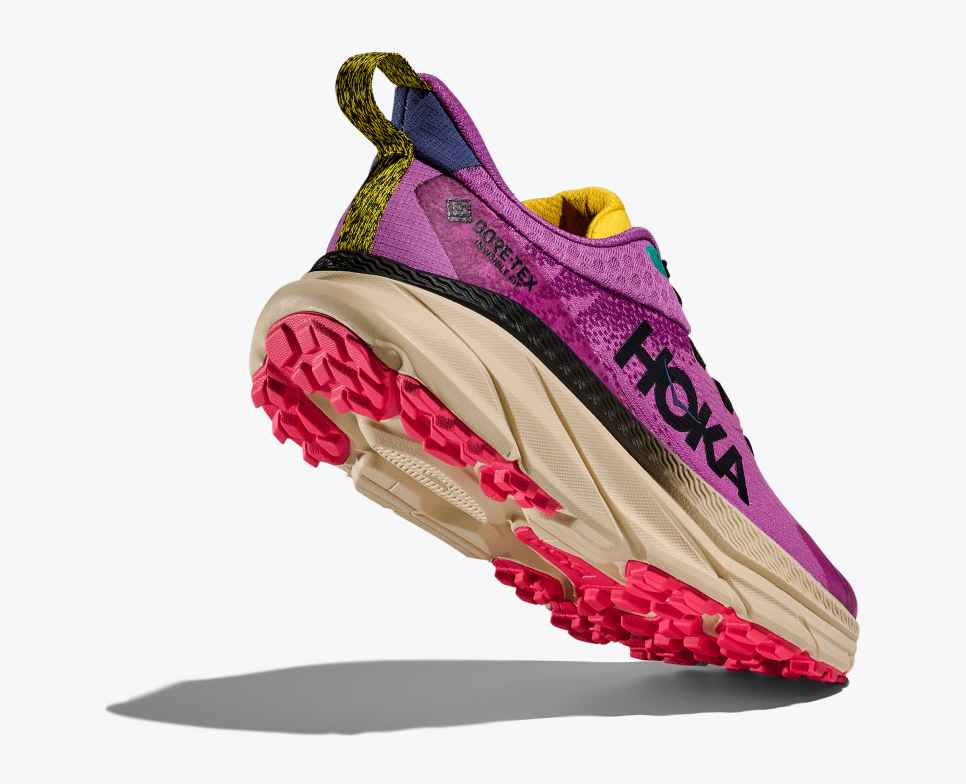 Challenger 7 GORE-TEX Superbloom / Oatmeal