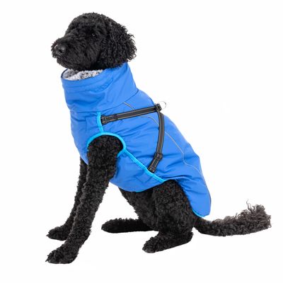 TIAKI Hundemantel mit Geschirr Arkon, blau