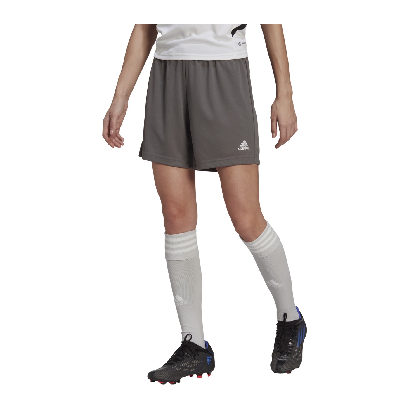adidas Entrada 22 Short Damen Grau