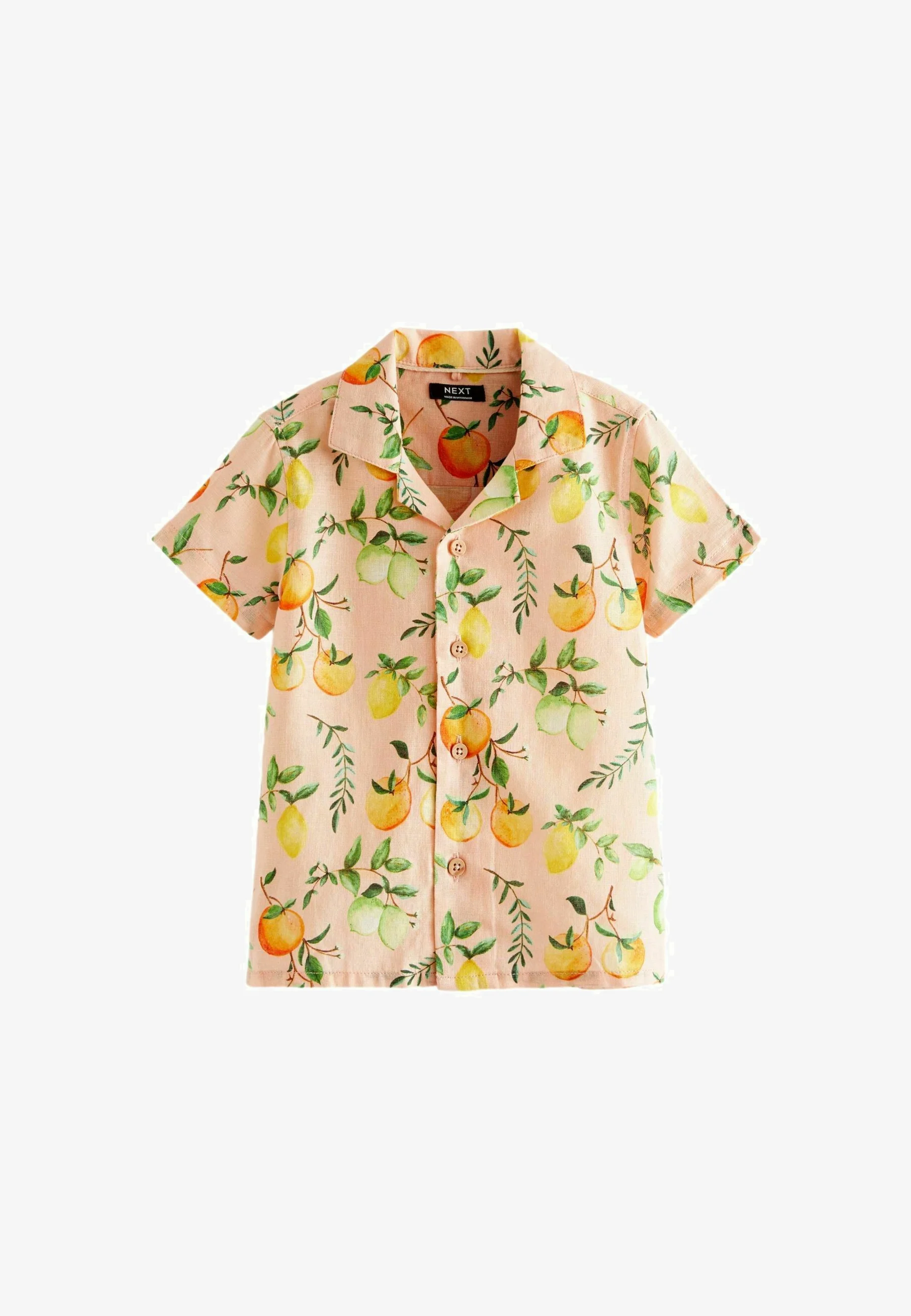 Camisa Next REGULAR FIT