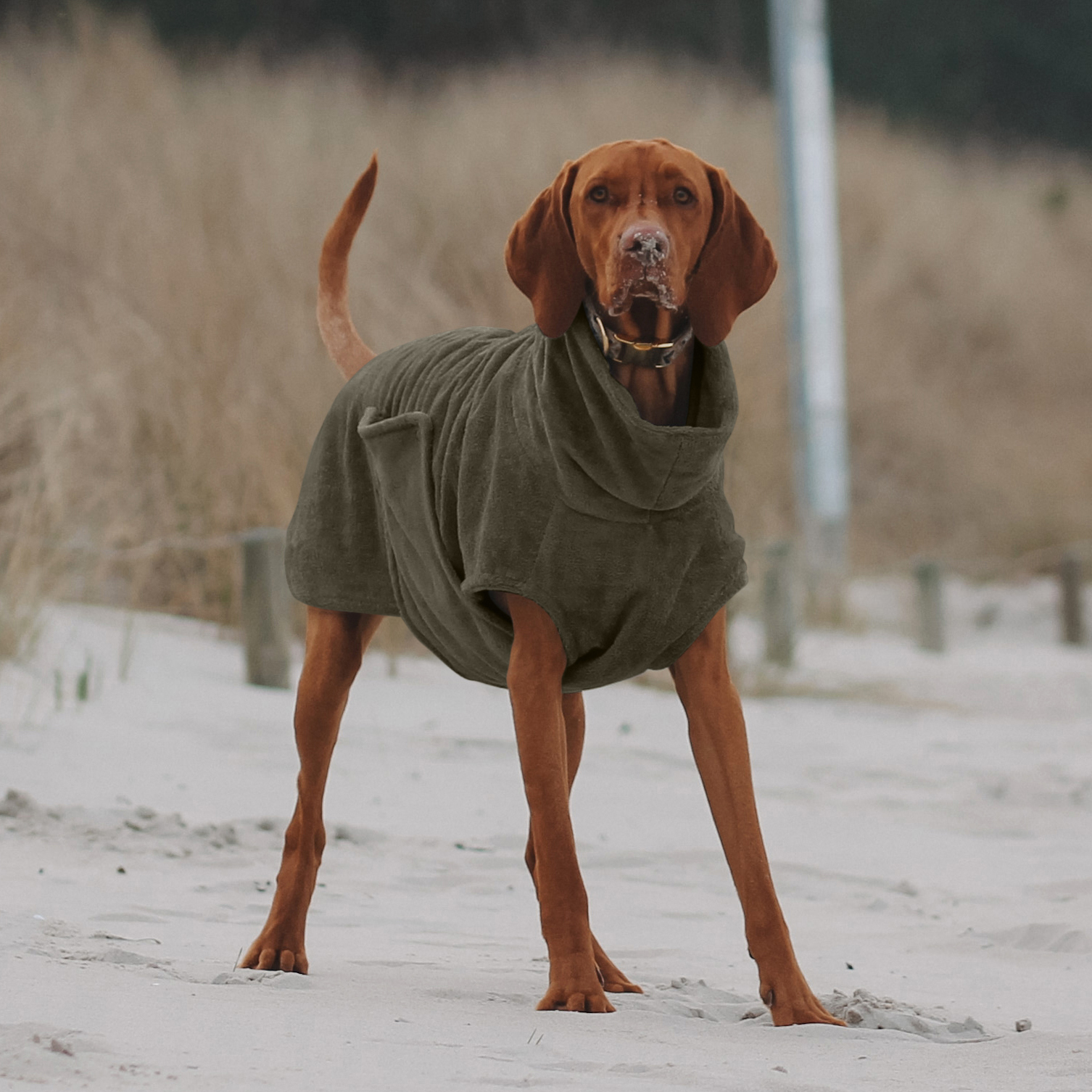 THE DOG IDEA Hundemäntel THE DOG IDEA Bademantel Every Khaki XL