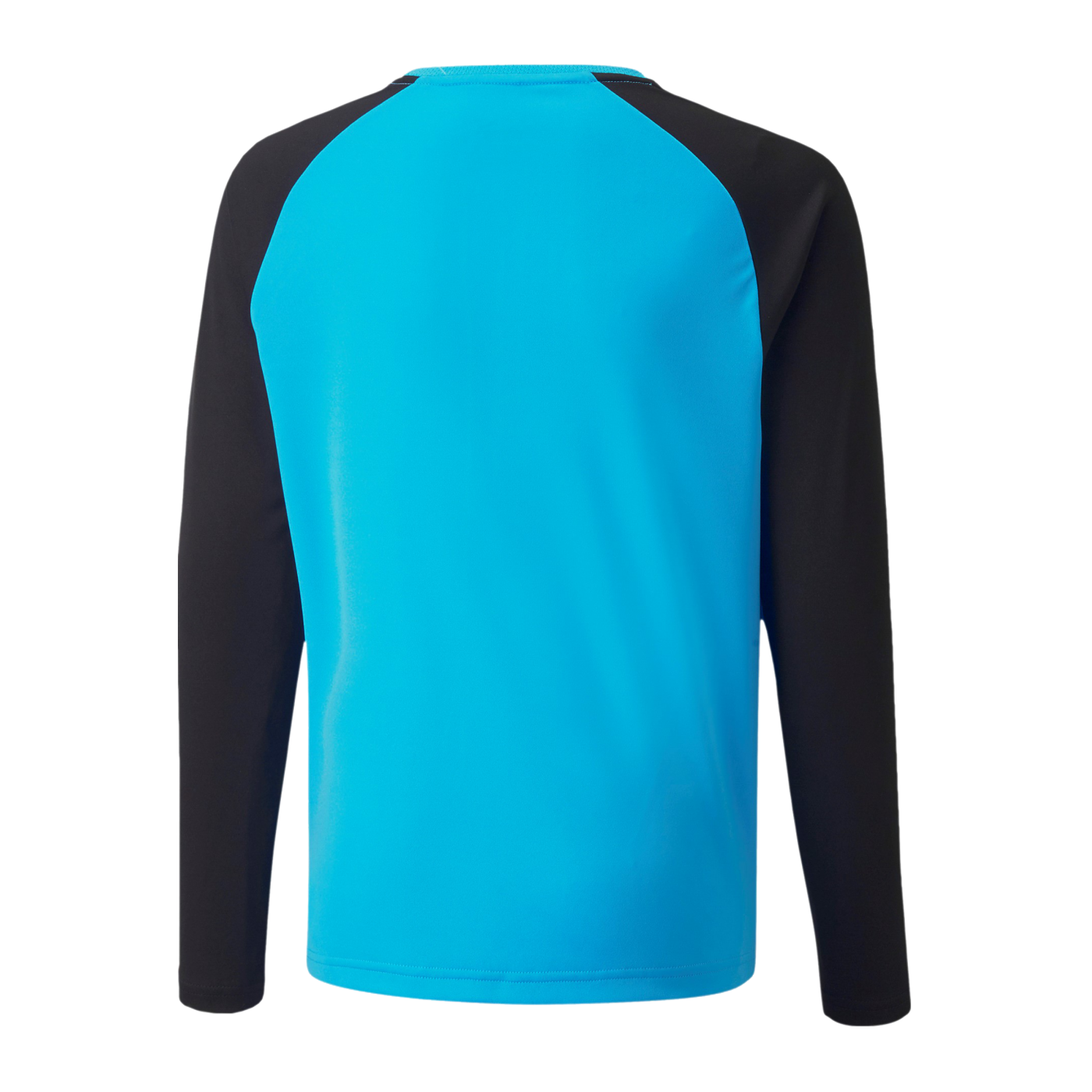 PUMA teamPACER Torwarttrikot langarm Kids F40