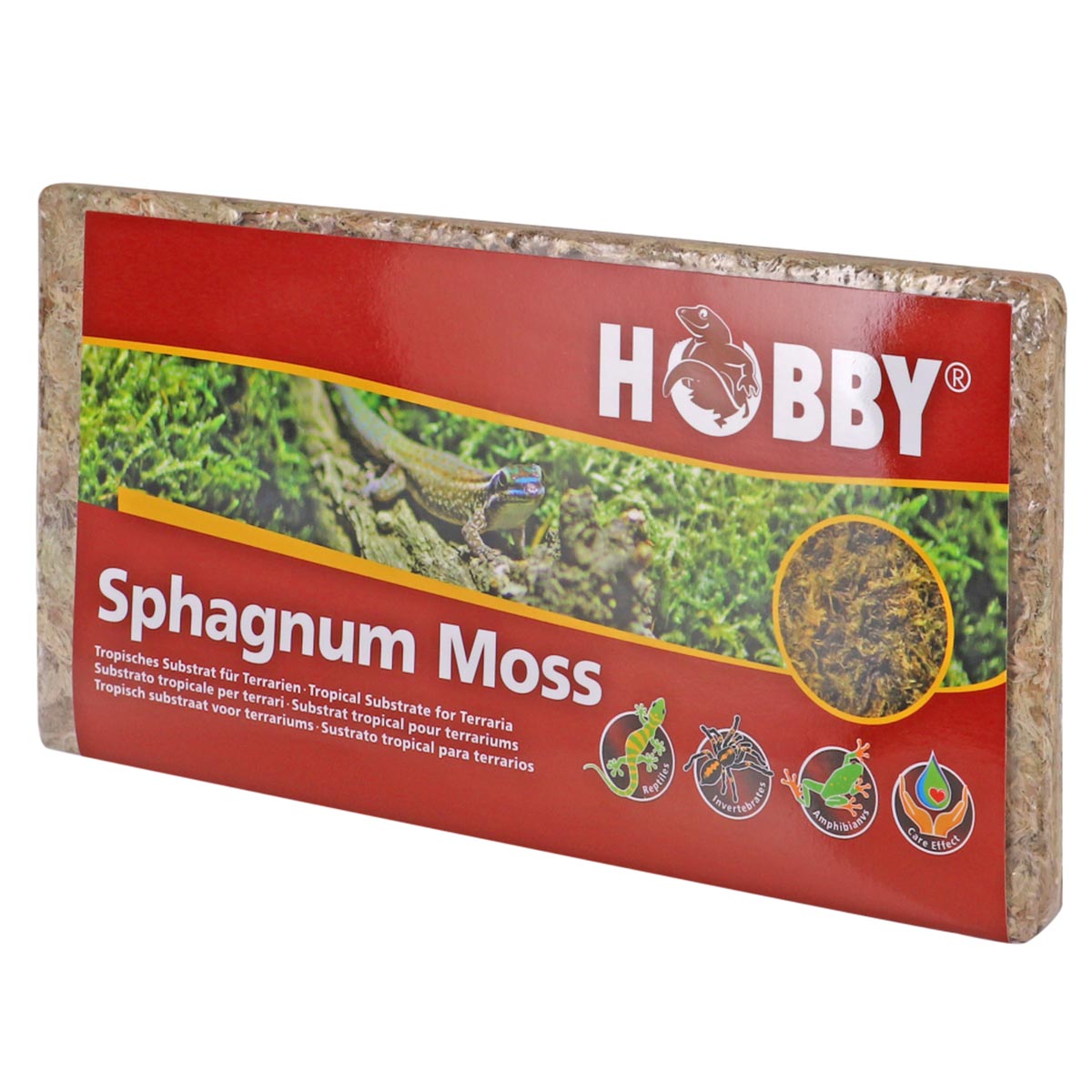 Hobby Sphaghnum Moss 100g günstig kaufen