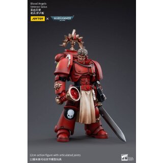 Warhammer 40k Actionfigur: Blood Angels Veteran Salus