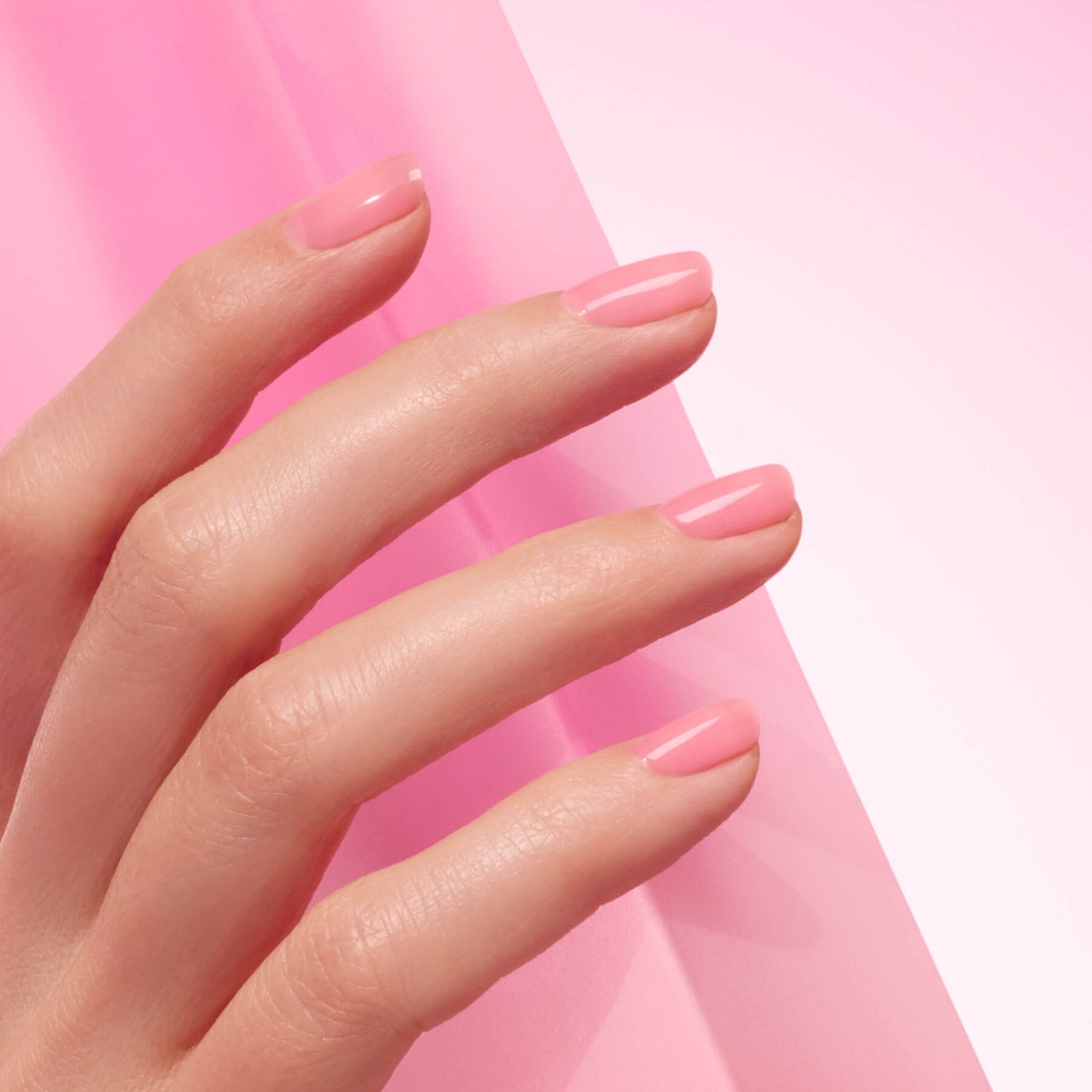 Gelatina di sorbetto rosa