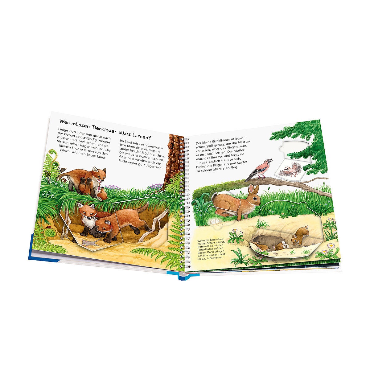 WWW junior Unsere Tierkinder