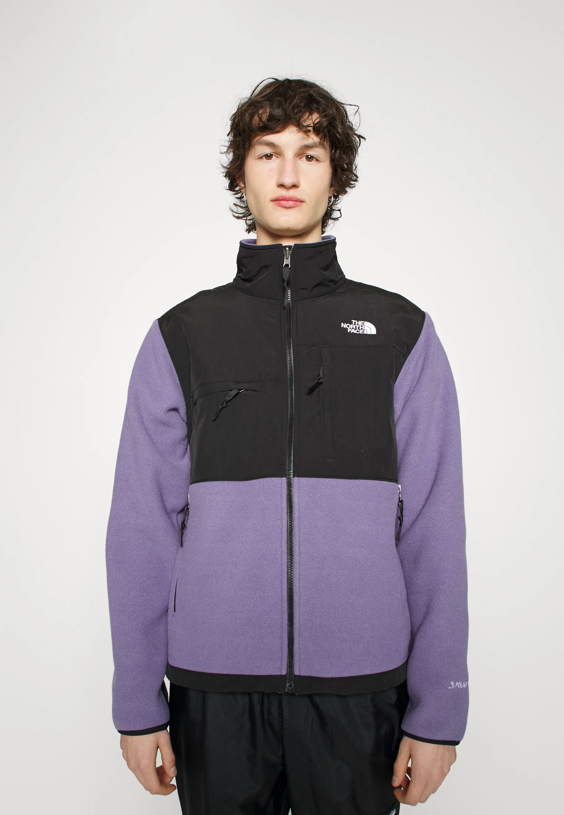 The North Face DENALI JACKET - Chaqueta polar