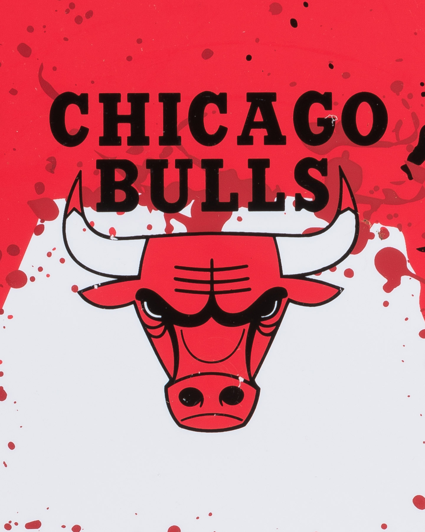 Tablica do koszykówki Wilson NBA Team Chicago Bulls WTB1302CH