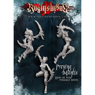 Mantis Box of 10