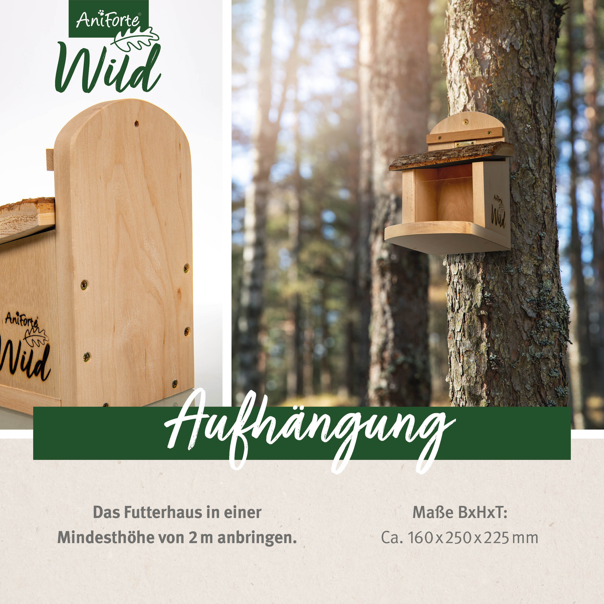 Aniforte Eichhörnchen Aniforte Wild Eichhörnchen Futterhaus + 200 g Futter